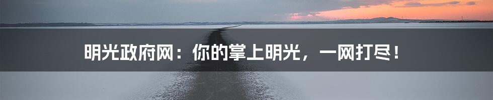 明光政府网：你的掌上明光，一网打尽！