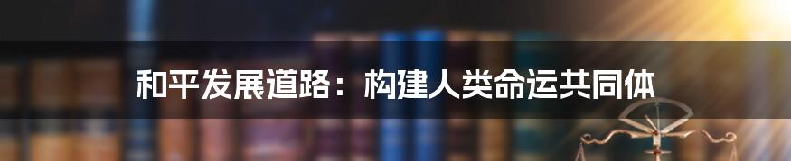 和平发展道路：构建人类命运共同体