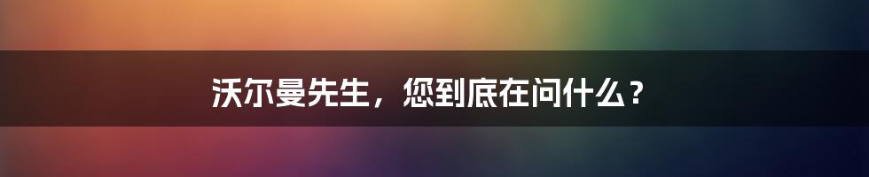 沃尔曼先生，您到底在问什么？