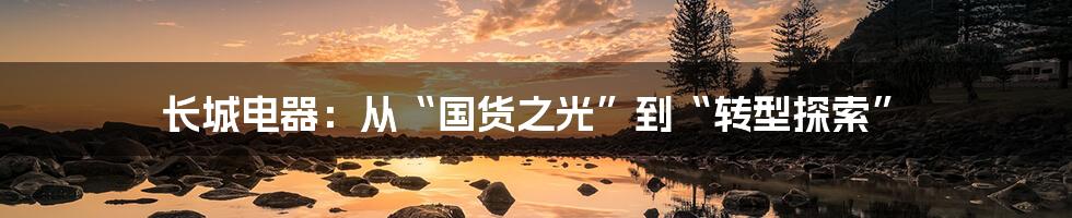 长城电器：从“国货之光”到“转型探索”