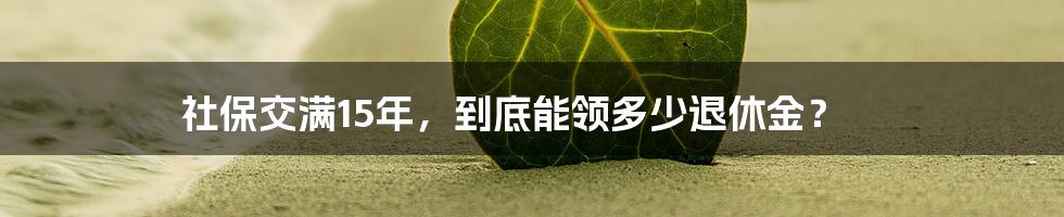 社保交满15年，到底能领多少退休金？