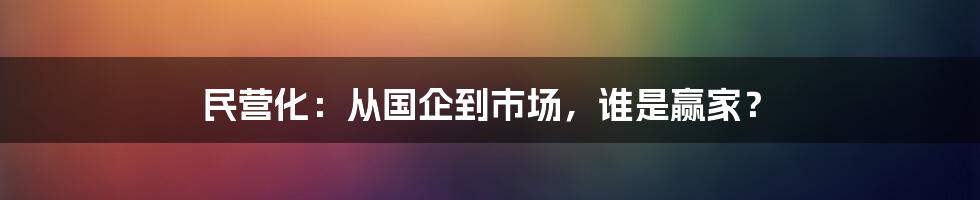 民营化：从国企到市场，谁是赢家？