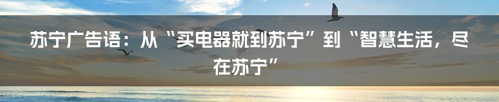 苏宁广告语：从“买电器就到苏宁”到“智慧生活，尽在苏宁”