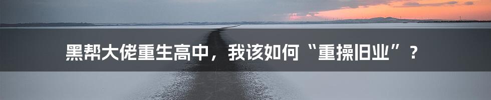 黑帮大佬重生高中，我该如何“重操旧业”？