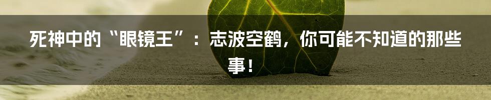 死神中的“眼镜王”：志波空鹤，你可能不知道的那些事！