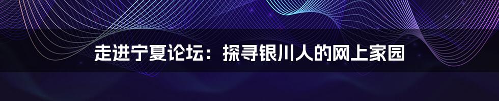 走进宁夏论坛：探寻银川人的网上家园