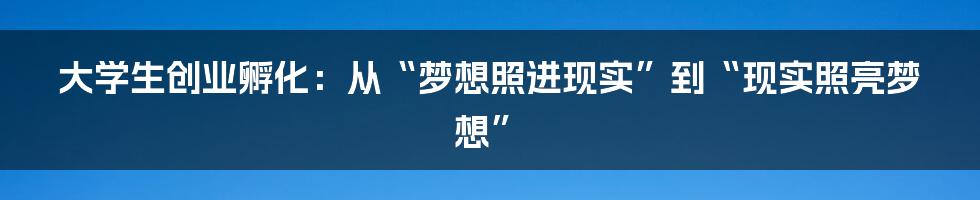 大学生创业孵化：从“梦想照进现实”到“现实照亮梦想”