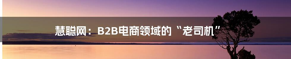 慧聪网：B2B电商领域的“老司机”