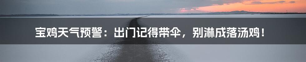 宝鸡天气预警：出门记得带伞，别淋成落汤鸡！