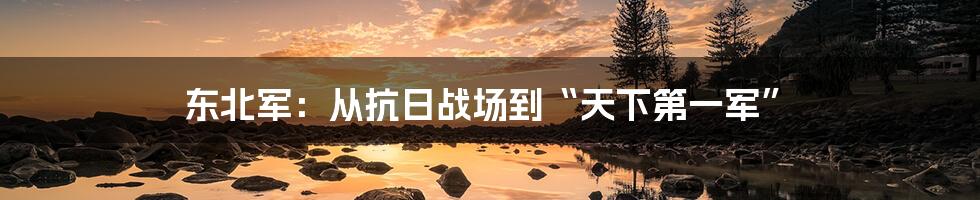 东北军：从抗日战场到“天下第一军”