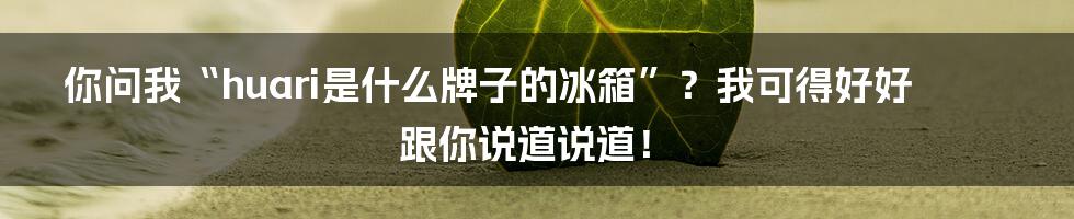 你问我“huari是什么牌子的冰箱”？我可得好好跟你说道说道！