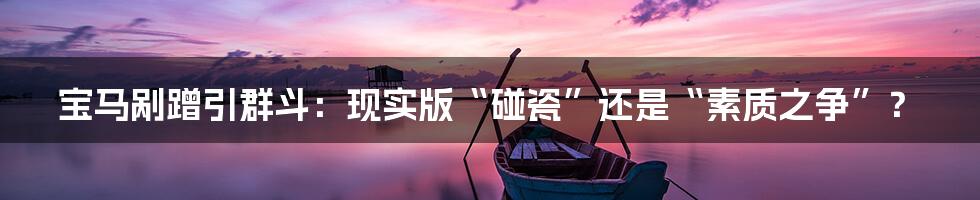 宝马剐蹭引群斗：现实版“碰瓷”还是“素质之争”？