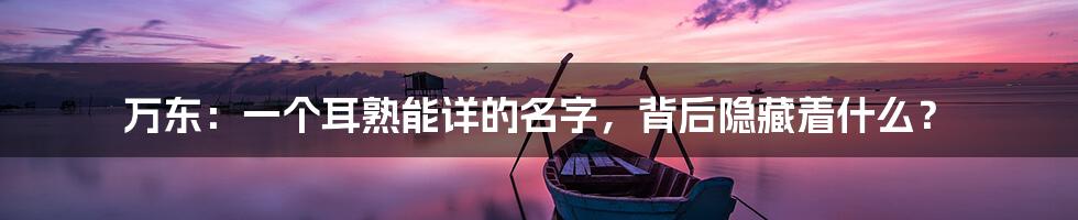 万东：一个耳熟能详的名字，背后隐藏着什么？