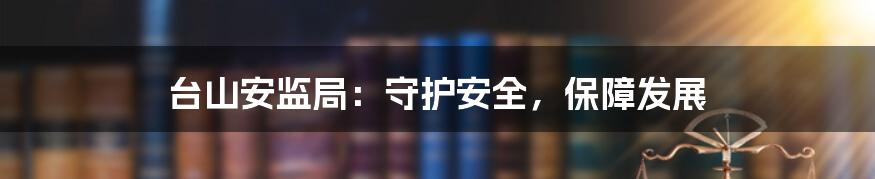 台山安监局：守护安全，保障发展