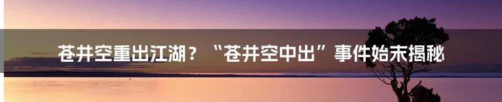 苍井空重出江湖？“苍井空中出”事件始末揭秘