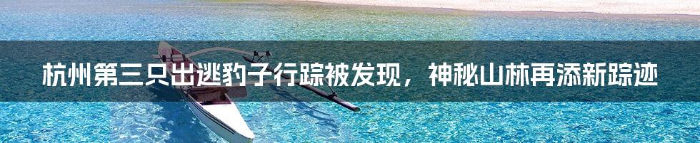 杭州第三只出逃豹子行踪被发现，神秘山林再添新踪迹