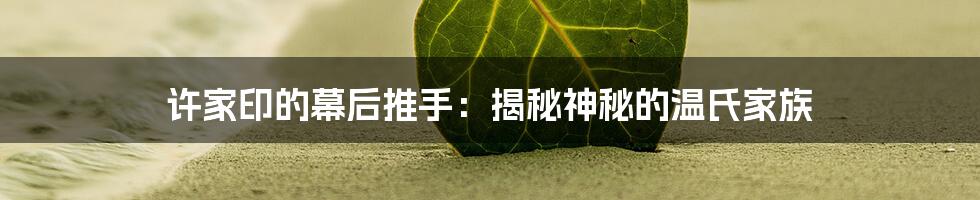 许家印的幕后推手：揭秘神秘的温氏家族