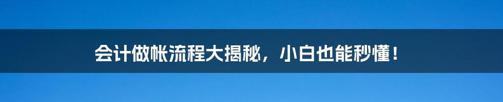 会计做帐流程大揭秘，小白也能秒懂！