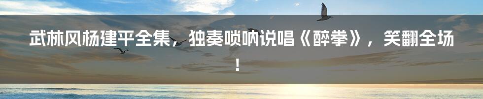 武林风杨建平全集，独奏唢呐说唱《醉拳》，笑翻全场！