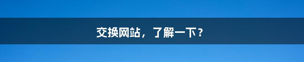 交换网站，了解一下？