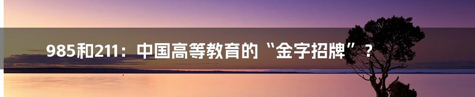 985和211：中国高等教育的“金字招牌”？