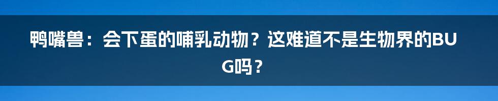 鸭嘴兽：会下蛋的哺乳动物？这难道不是生物界的BUG吗？