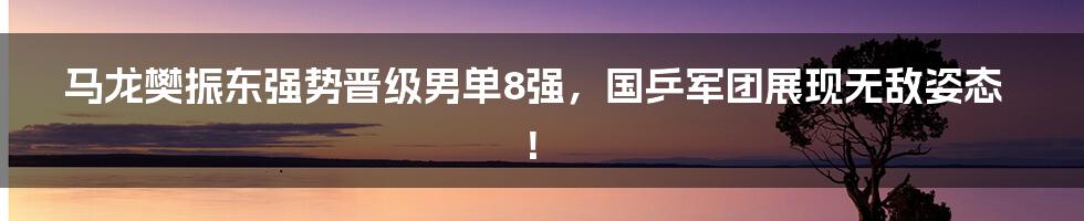 马龙樊振东强势晋级男单8强，国乒军团展现无敌姿态！