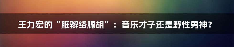 王力宏的“脏辫络腮胡”：音乐才子还是野性男神？