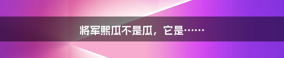 将军熙瓜不是瓜，它是……