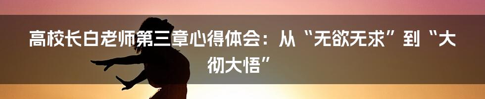 高校长白老师第三章心得体会：从“无欲无求”到“大彻大悟”