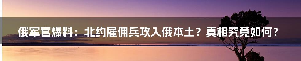 俄军官爆料：北约雇佣兵攻入俄本土？真相究竟如何？