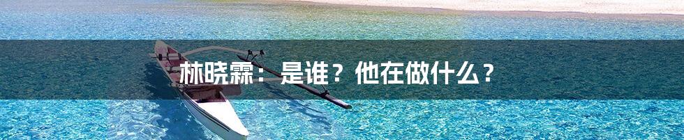 林晓霖：是谁？他在做什么？