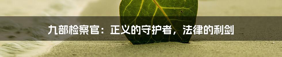 九部检察官：正义的守护者，法律的利剑