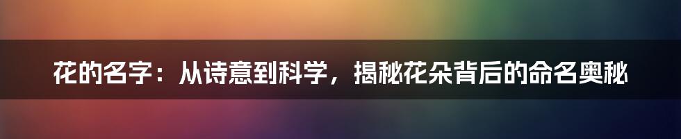 花的名字：从诗意到科学，揭秘花朵背后的命名奥秘