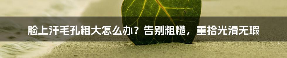 脸上汗毛孔粗大怎么办？告别粗糙，重拾光滑无瑕