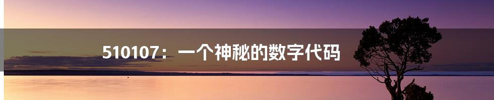 510107：一个神秘的数字代码