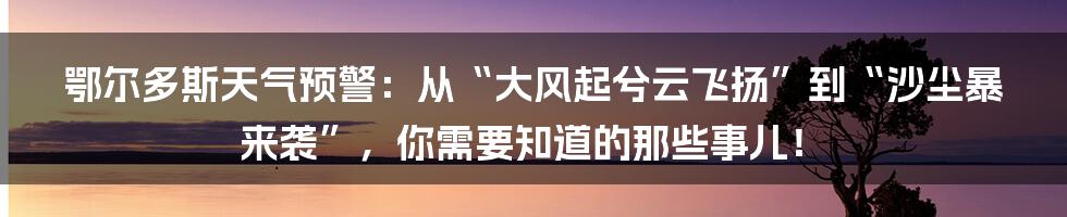 鄂尔多斯天气预警：从“大风起兮云飞扬”到“沙尘暴来袭”，你需要知道的那些事儿！