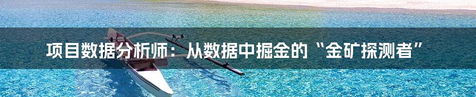 项目数据分析师：从数据中掘金的“金矿探测者”