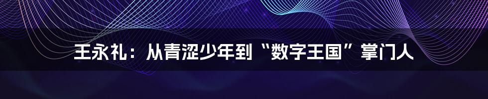 王永礼：从青涩少年到“数字王国”掌门人