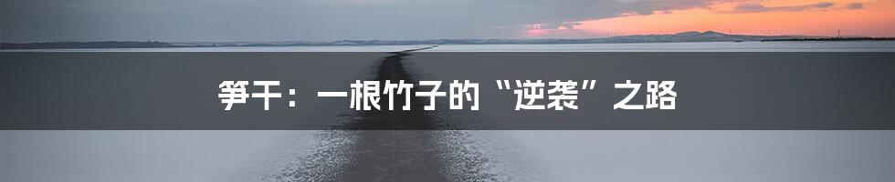 笋干：一根竹子的“逆袭”之路