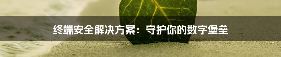 终端安全解决方案：守护你的数字堡垒