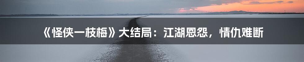 《怪侠一枝梅》大结局：江湖恩怨，情仇难断