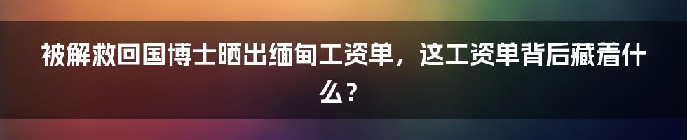 被解救回国博士晒出缅甸工资单，这工资单背后藏着什么？