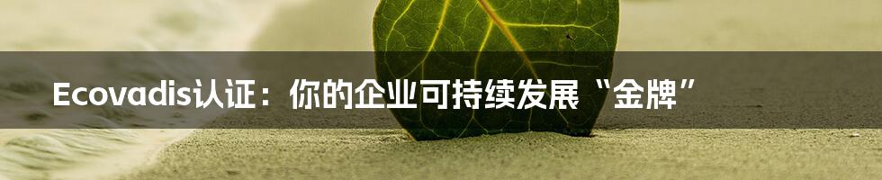 Ecovadis认证：你的企业可持续发展“金牌”