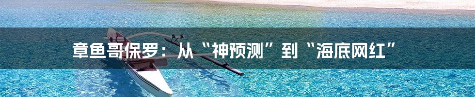 章鱼哥保罗：从“神预测”到“海底网红”