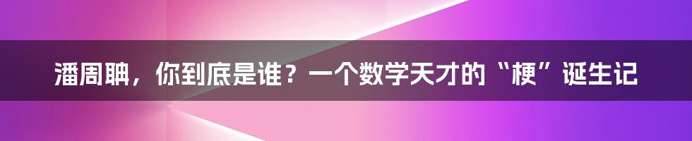 潘周聃，你到底是谁？一个数学天才的“梗”诞生记