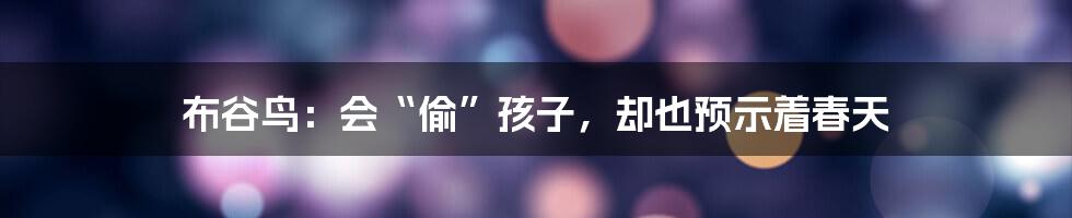 布谷鸟：会“偷”孩子，却也预示着春天