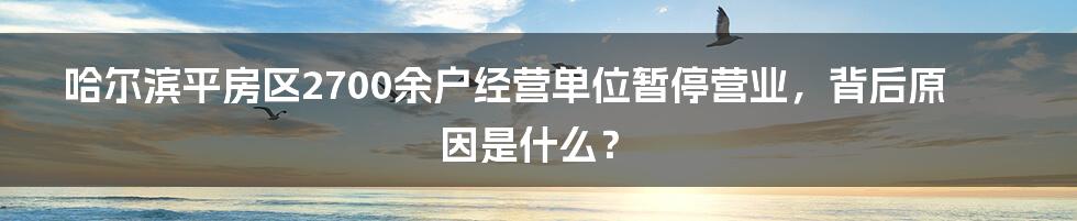 哈尔滨平房区2700余户经营单位暂停营业，背后原因是什么？