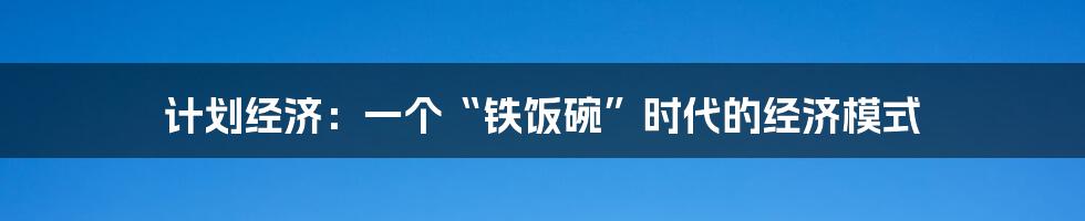 计划经济：一个“铁饭碗”时代的经济模式