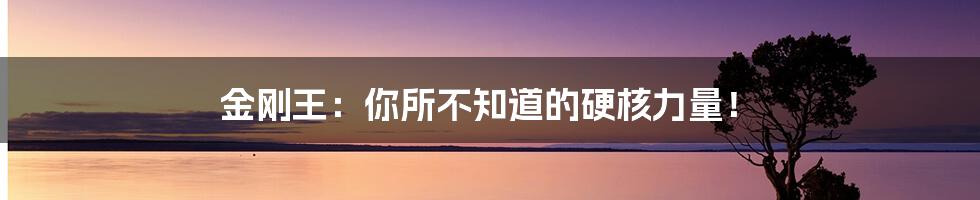 金刚王：你所不知道的硬核力量！